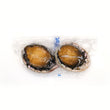 Sashimi Grade California Abalone (Awabi)