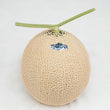 Fresh Shizuoka Aroma Melons